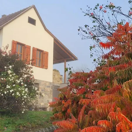 Haz Kilatassal Zalaszanto