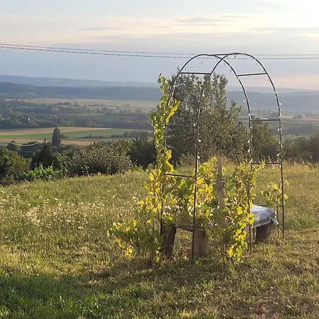 Haz Kilatassal * Zalaszanto