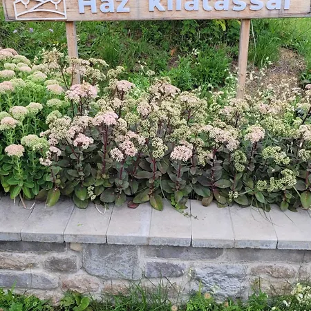 Haz Kilatassal * Zalaszanto