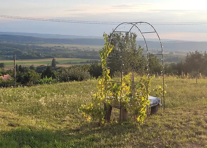 Haz Kilatassal * Zalaszántó