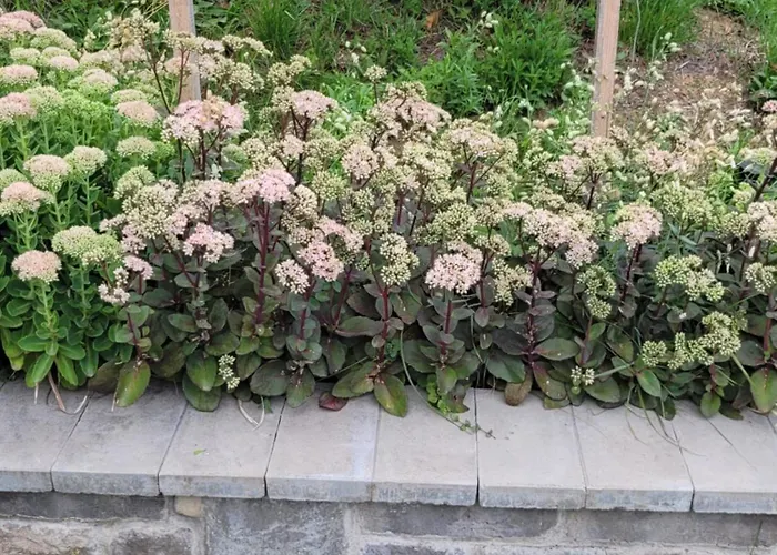 Haz Kilatassal * Zalaszántó